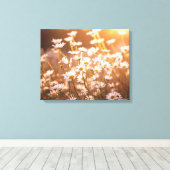 Toile Daisées oculaires du coucher de soleil (Insitu (Plancher de Bois))