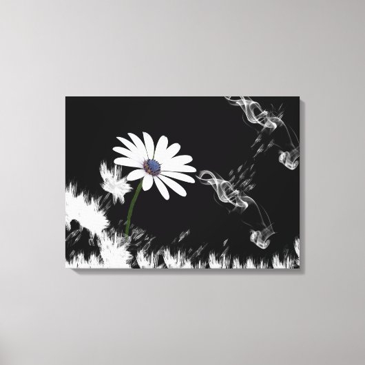 Toile Daisy (Recto)