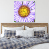 Toile Daisy balnéaire (Insitu(Chambre))