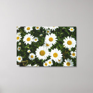 Toile Daisy Delight
