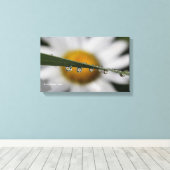 Toile Daisy Drops photo nature (Insitu (Plancher de Bois))