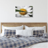 Toile Daisy Drops photo nature (Insitu(Chambre))