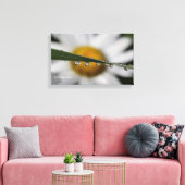 Toile Daisy Drops photo nature (Insitu(Salon))