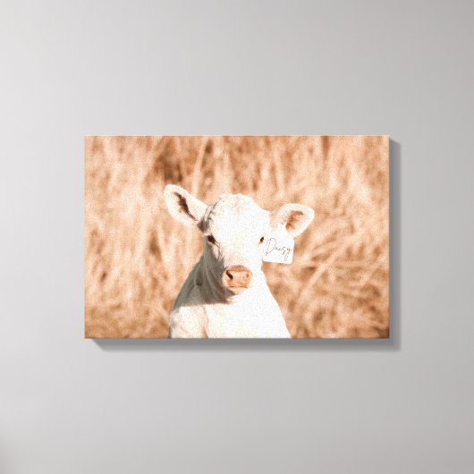 Toile Daisy Le Veau Blanc Cute Dans Le Pré D'Or (Recto)