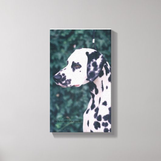 Toile Dalmatie — Grunt (Recto)