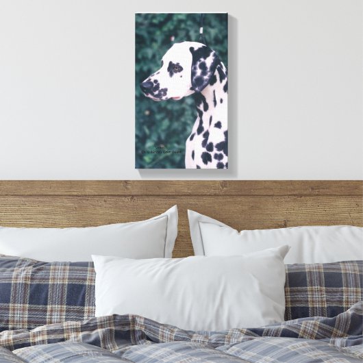 Toile Dalmatie — Grunt (Insitu(Chambre))