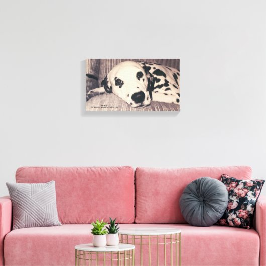 Toile Dalmatie sur un canapé — Sparkler (Insitu(Salon))