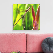 Toile Damselfly Balancé Sur Une Tête De Fleur (Insitu(Salon))