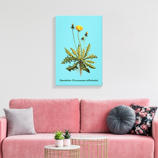Toile Dandelion (Insitu(Salon))