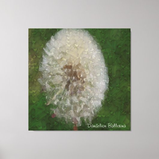Toile Dandelion Ballerina (Recto)
