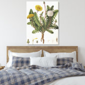 Toile Dandelion (gravure couleur) (Insitu(Chambre))