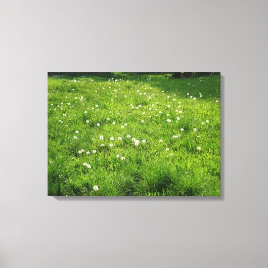 Toile Dandelion Meadow (Recto)