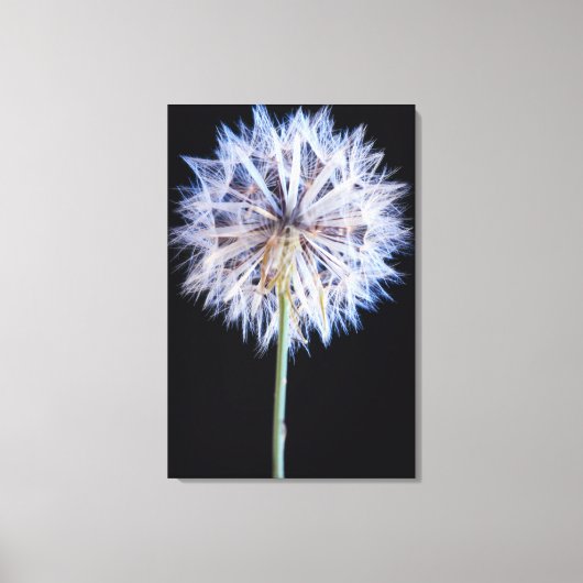 Toile Dandelion (Taraxacum Officinale) (Recto)