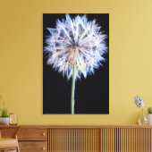 Toile Dandelion (Taraxacum Officinale) (Insitu(Salon))