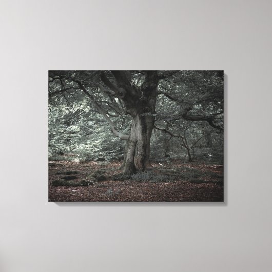 Toile Dans la forêt de conte de fées (Recto)