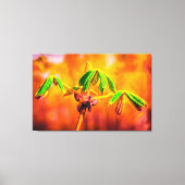 Toile Danse Du Feu (Recto)