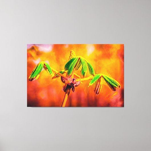 Toile Danse Du Feu (Recto)