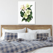 toile d'aquarelle botanique à hellebore blanc (Insitu(Chambre))