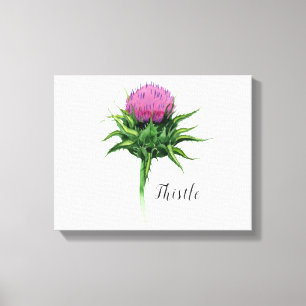 Toile d'aquarelle Fleur de chardon Imprimer