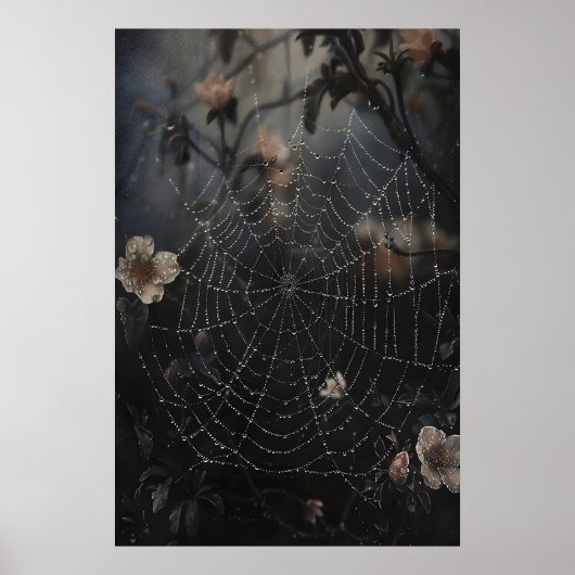Toile d'araignée avec rosée dans une impression de (Devant)