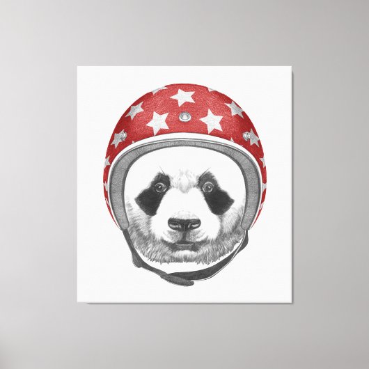 Toile Daredevil Panda (Recto)