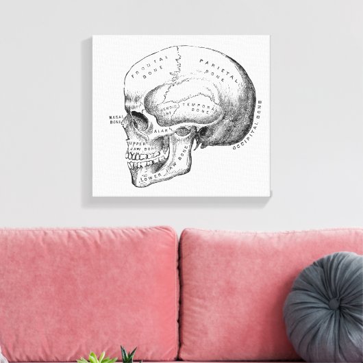 Toile Dark Academia Skull Canvas (Insitu(Salon))