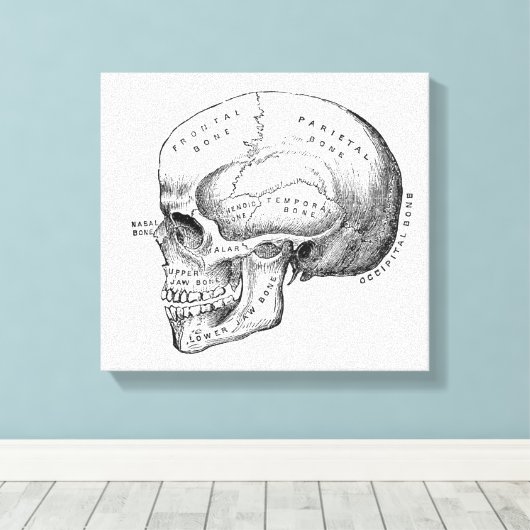 Toile Dark Academia Skull Canvas (Insitu (Plancher de Bois))