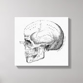 Toile Dark Academia Skull Canvas (Recto)