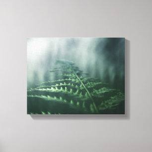 Toile Dark Moody Fern photo nature