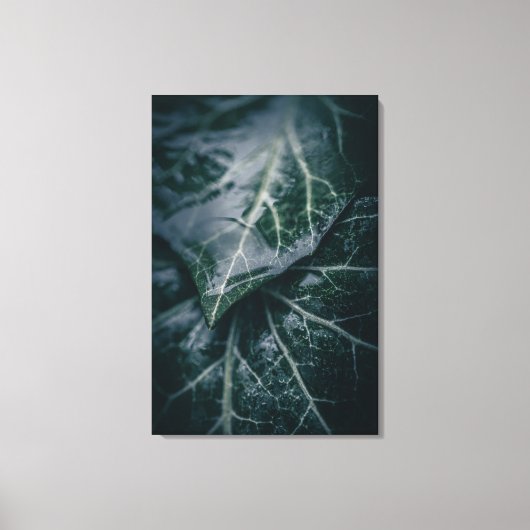 Toile Dark Moody Ivy Feuille Nature Photo (Recto)