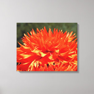 Toile d'art en 4 panneaux Fleurs de Dahlia Orange