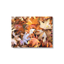 Toile d'art mural Feuilles d'automne