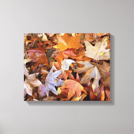 Toile d'art mural Feuilles d'automne (Recto)