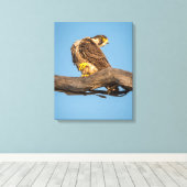 Toile d'art murale Faucon | Impression de rapace d (Insitu (Plancher de Bois))