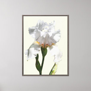 Toile d'art photo de fleur d'iris blanche