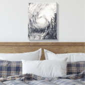 Toile Dauphin du typhon dans la mer des Philippines (Insitu(Chambre))