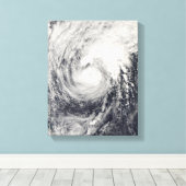 Toile Dauphin du typhon dans la mer des Philippines (Insitu (Plancher de Bois))
