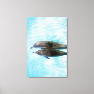 Toile Dauphins de fileur Oahu Hawaï