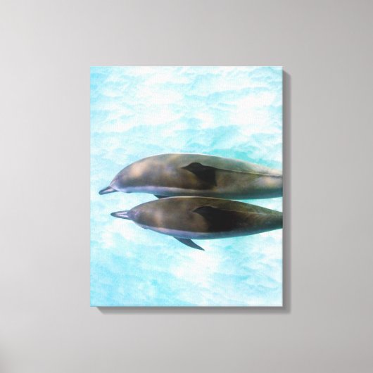 Toile Dauphins spineurs | Oahu Hawaii (Recto)