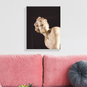 Toile David, 1623-24 (marbre) (détail) (Insitu(Salon))