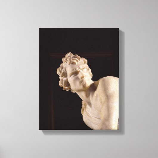 Toile David, 1623-24 (marbre) (détail) (Recto)