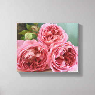 Toile David Austin Heritage Anglais Rose