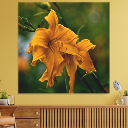 Toile Daylily "Jersey Spider" (Insitu(Salon))