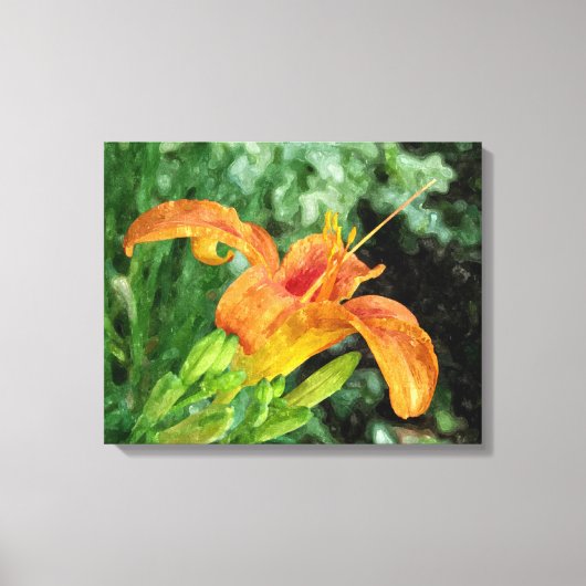 Toile Daylily Watercolor (Recto)