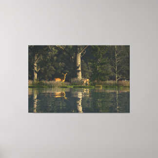 Toile de 60"x40" avec l'image "Surpris"