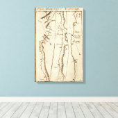 Toile De Albany à Newborough 29 (Insitu (Plancher de Bois))