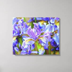 Toile De belles Irises violettes en mai
