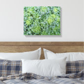 Toile de brocoli en macro impression (Insitu(Chambre))
