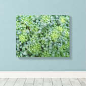 Toile de brocoli en macro impression (Insitu (Plancher de Bois))