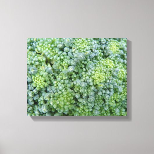 Toile de brocoli en macro impression (Recto)